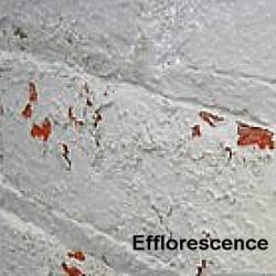 Adhesion Failure – Paint Peeling From Brick and Masonry