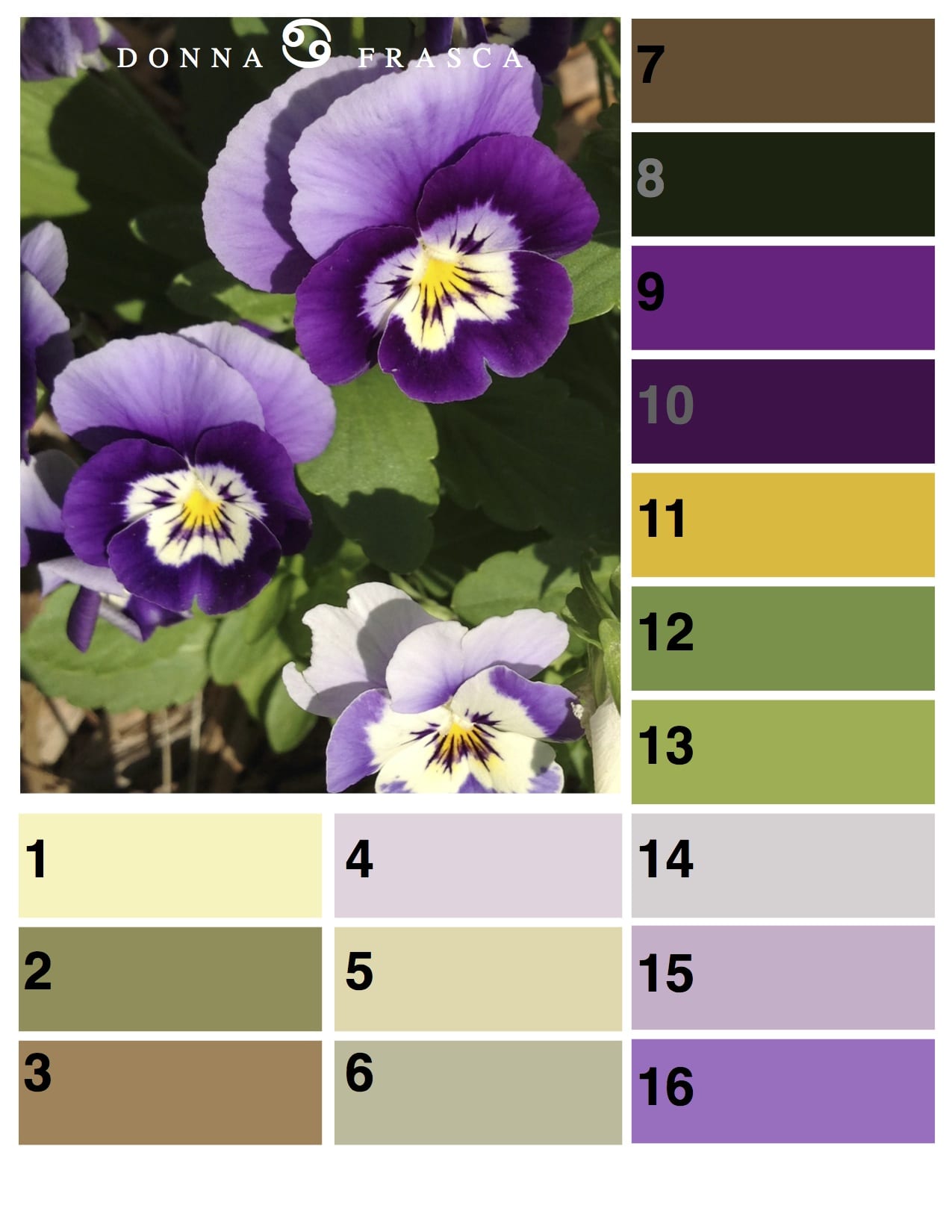 How To Choose Color From a Photograph
