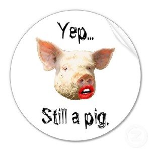 lipstick on a pig