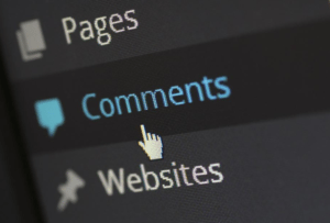 picture of comment bar